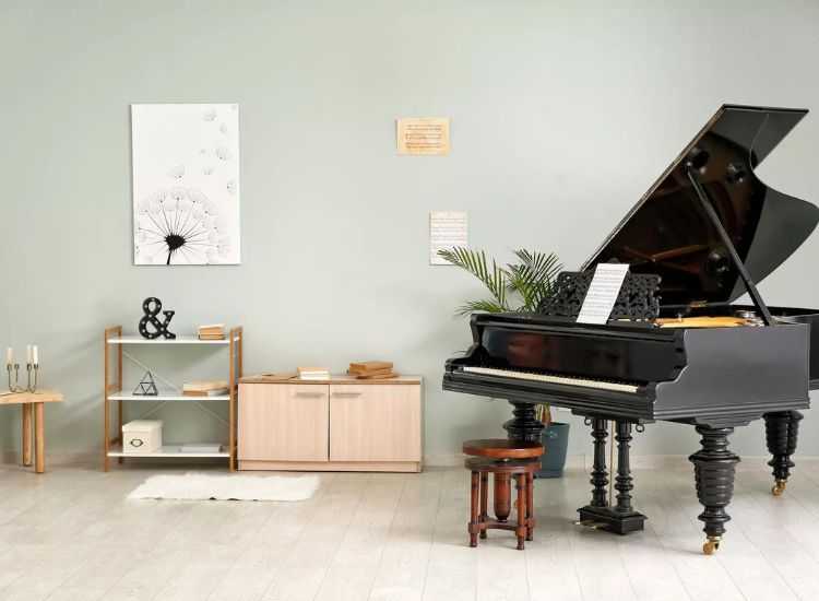 Navigating Piano Removal Challenges: Insights from Mountain Piano Moving Company